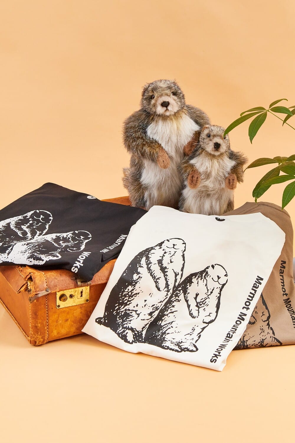 Marmot [マーモット] 別注 ドローコード付き マーモットバックプリントTシャツ [MTSS25MST329IN-JF]