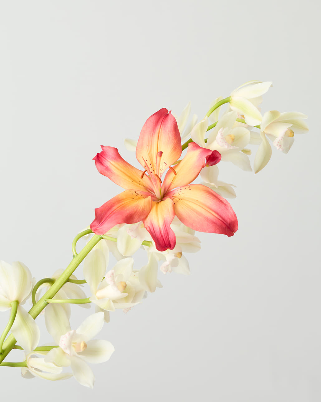 旬をまとう春デニム｜YANUK 2026 SPRING COLLECTIONのイメージバナーです。