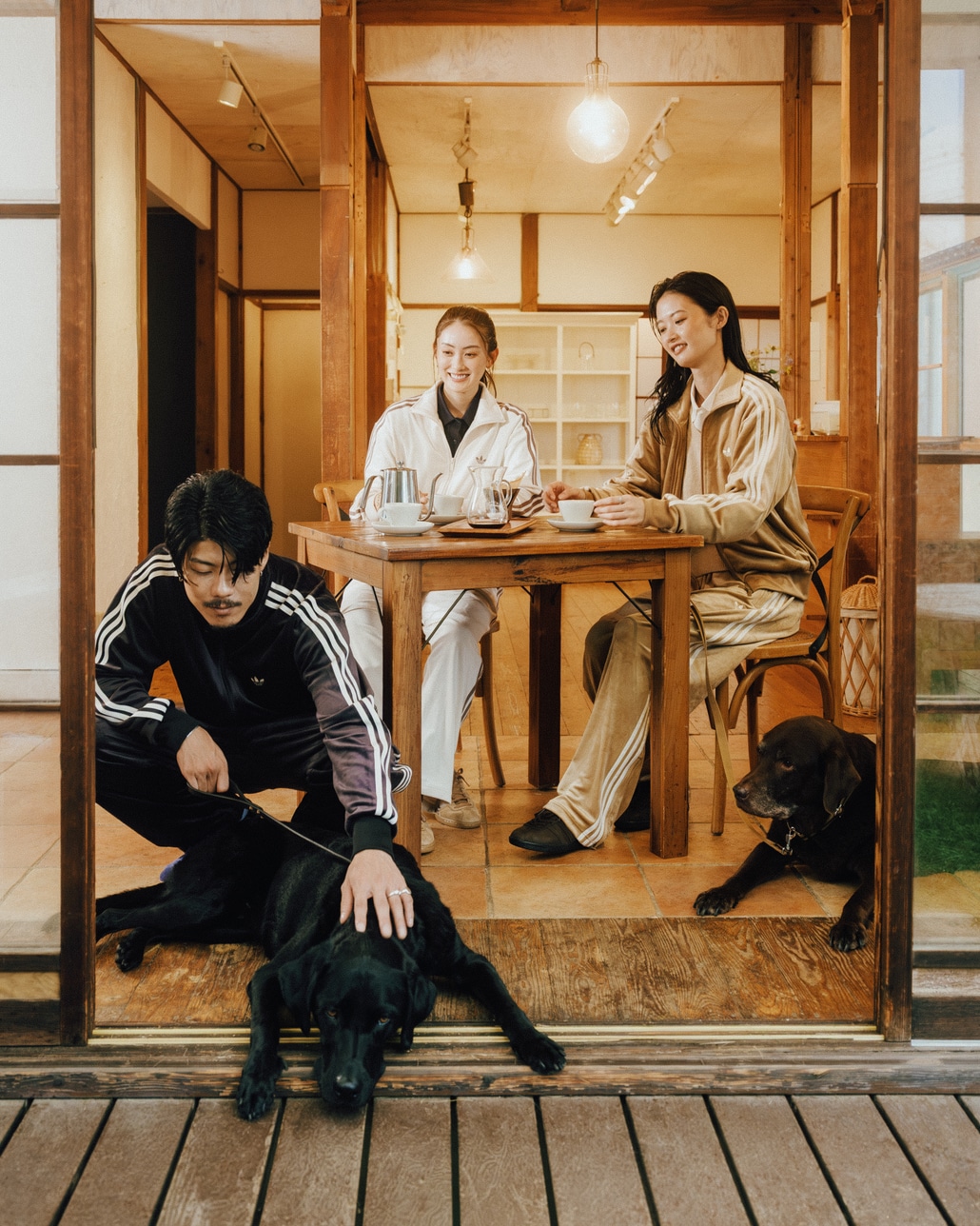 adidas Originals [アディダス オリジナルス] ファイヤーバード ベロア トラックパンツ [QH344]とファイヤーバード ベロア トラックトップ [ZQ134]です。