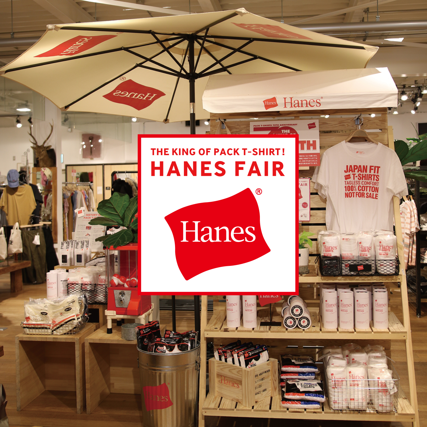 2017春夏,HANES,ヘインズ,パックTシャツ,フェア, FAIR,ジーンズファクトリー,JEANS FACTORY,ジーファク,メンズ,レディース