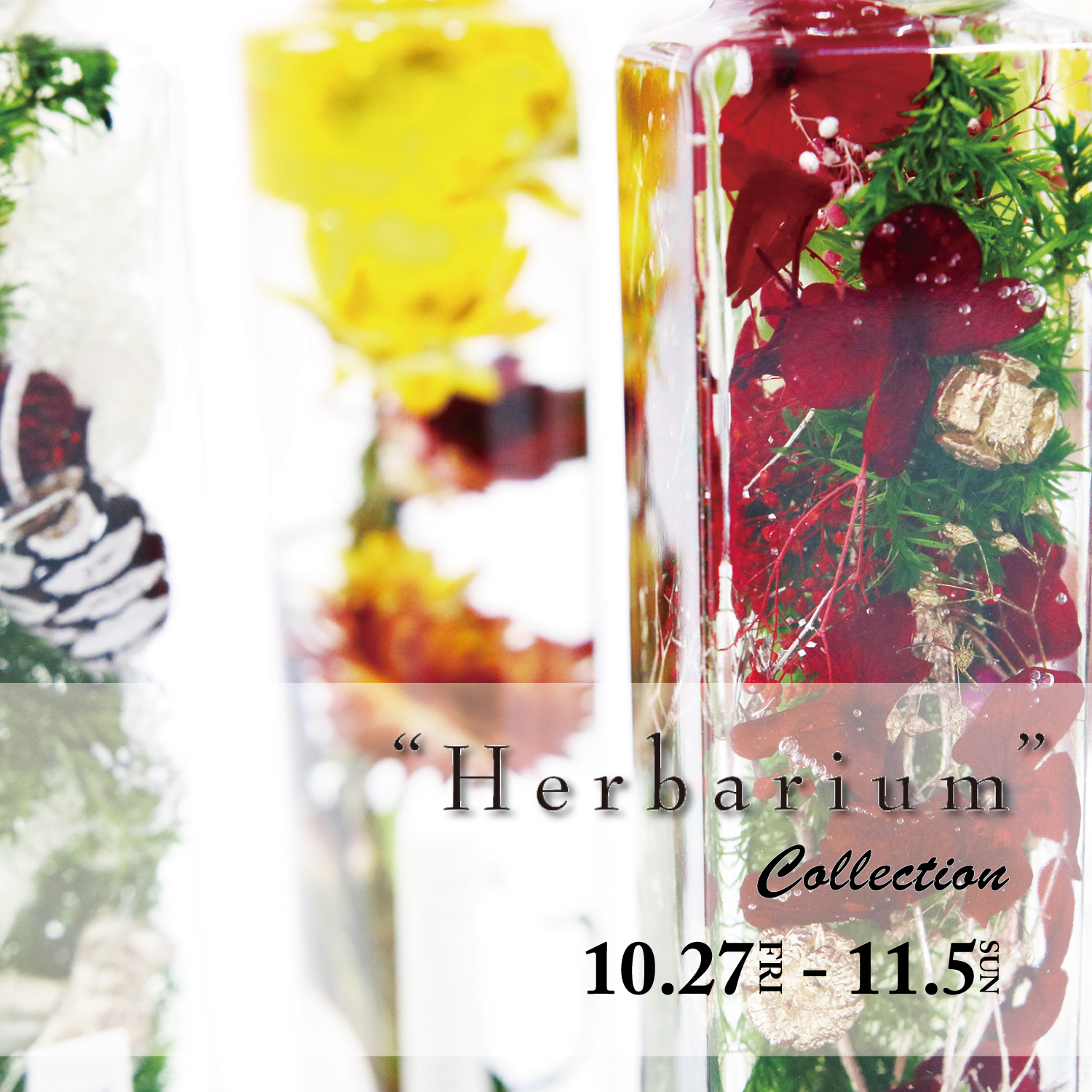 卸団地本店 花のある暮らし Herbarium Collection Jeans Factory ジーンズファクトリー 公式サイト