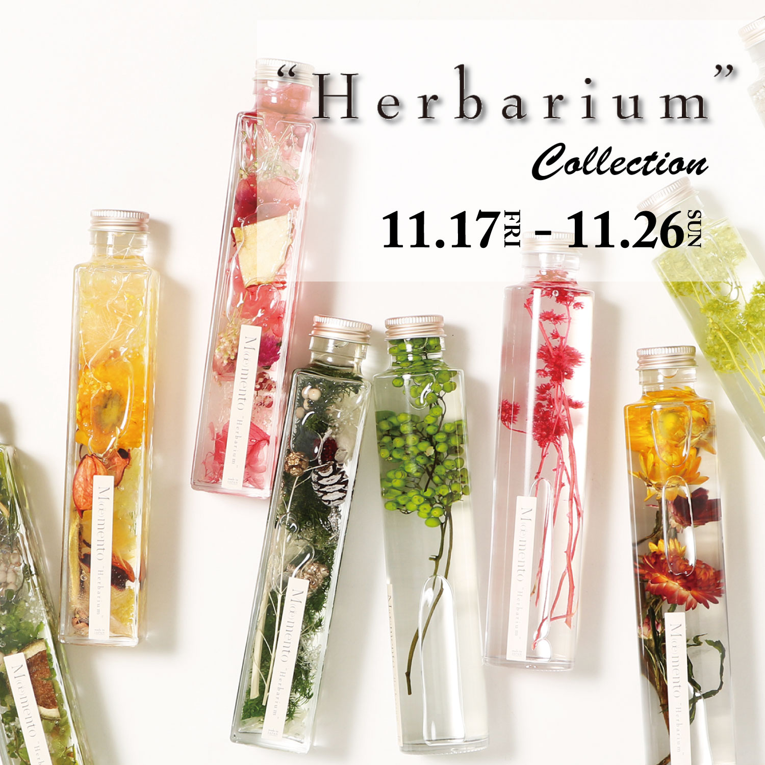 沼田店 花のある暮らし Herbarium Collection Jeans Factory ジーンズファクトリー 公式サイト