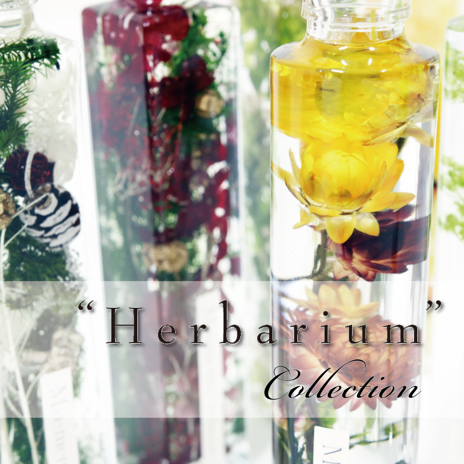 福山店 花のある暮らし Herbarium Collection Jeans Factory ジーンズファクトリー 公式サイト