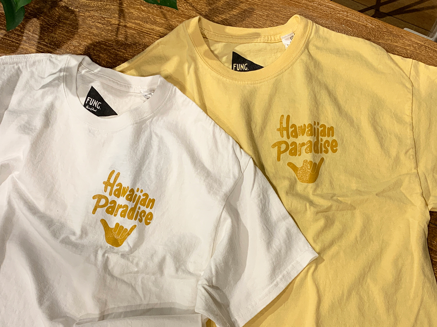 ファングのTシャツです。