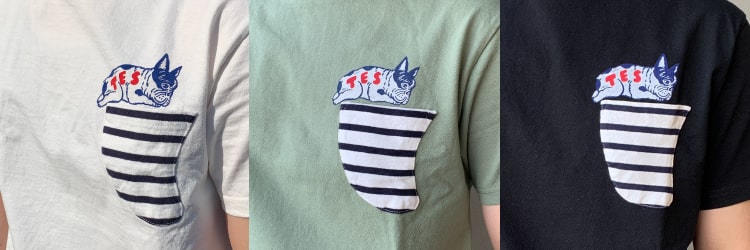 The Endless Summer エンドレスサマーの別注 ポケットTシャツのカラーサンプルです。