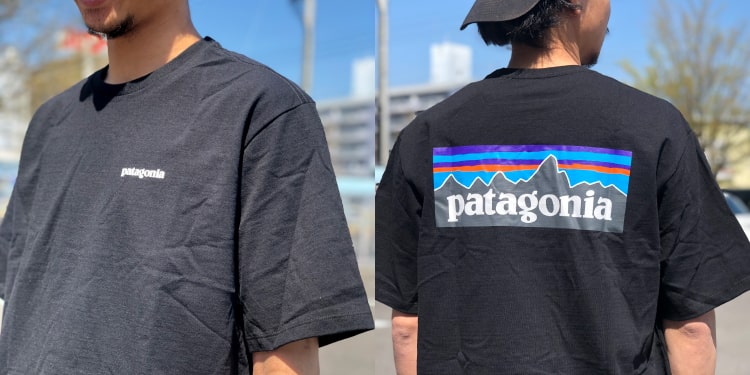 patagoniaパタゴニア2020春夏P6ロゴTシャツ38504の写真です。