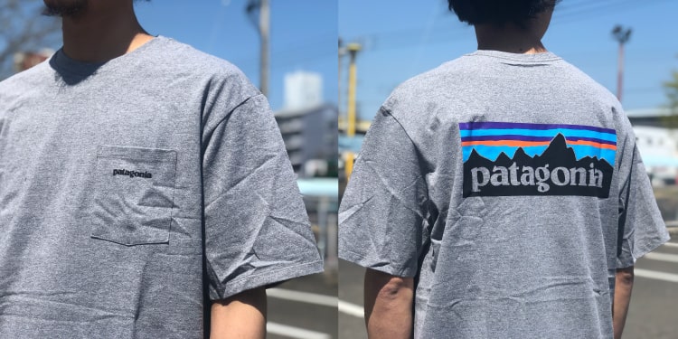 patagoniaパタゴニア2020春夏P6ロゴTシャツ38512の写真です。