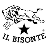 IL BISONTE